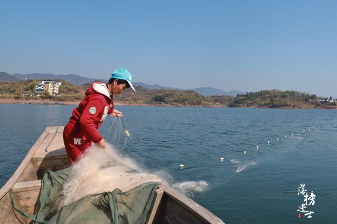 千岛湖桐子坞砖瓦厂地址——探寻与解析