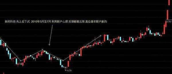 探索12编大力马线主线的奥秘与应用