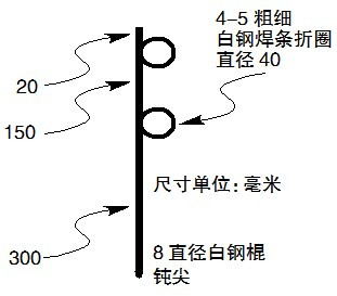 鱼线大力马主线与碳线的优势及应用