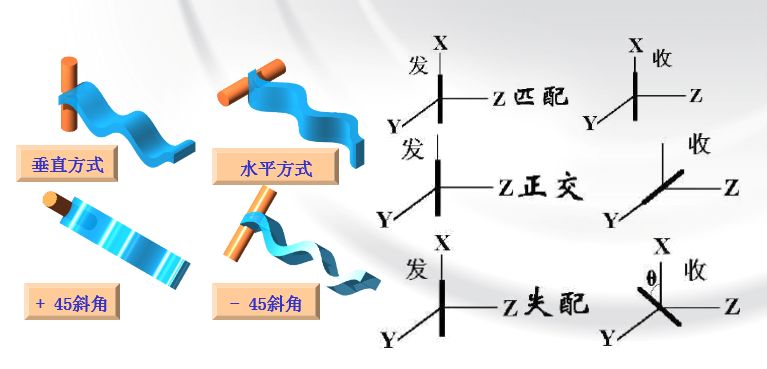 大力马主线结使用几号线的深度解析