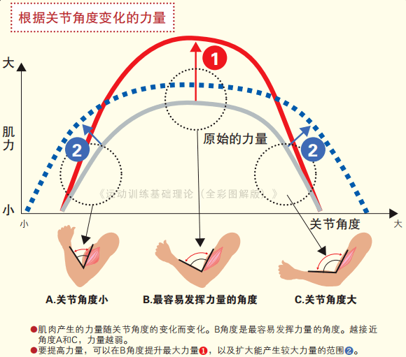 大力马线在路亚钓法中的主线应用