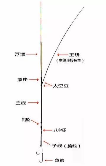 线组9米大力马主线，钓鱼的专业选择