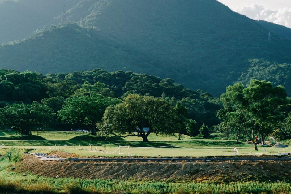 深圳哪里适合森林露营，探索自然之夜的绝佳地点